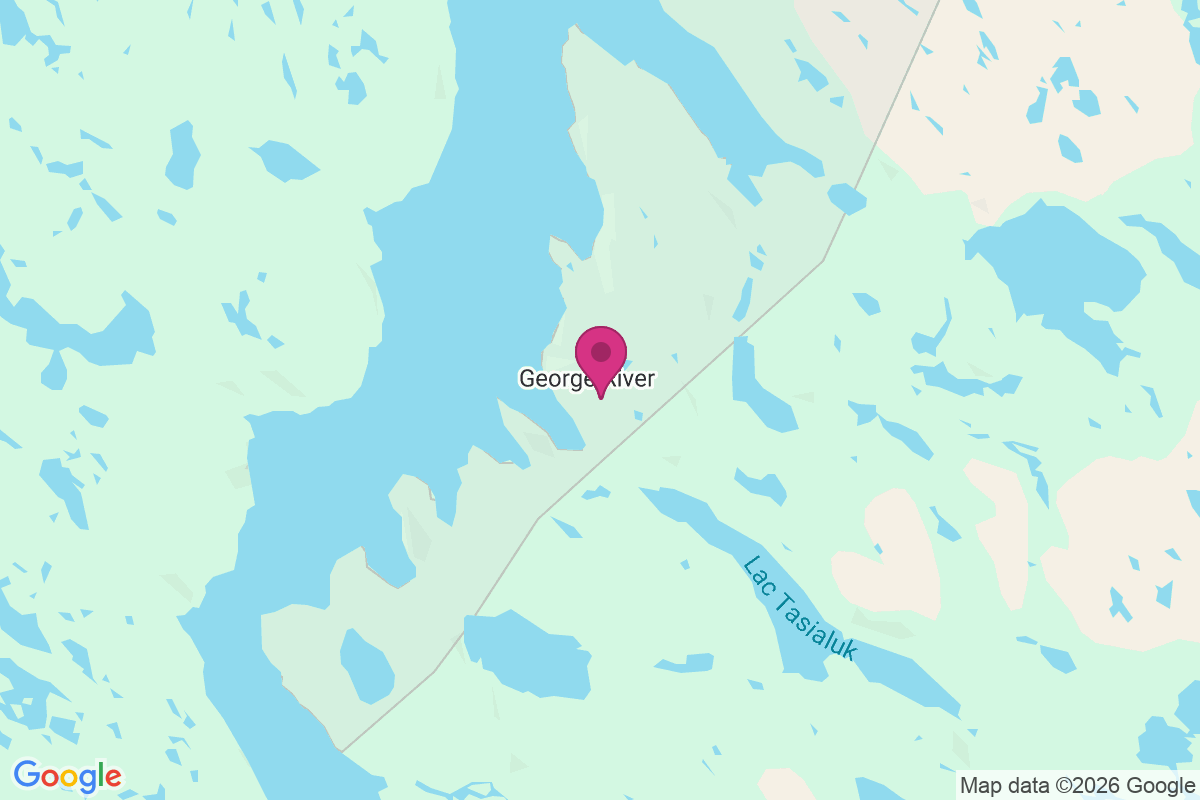 Carte de Georges River