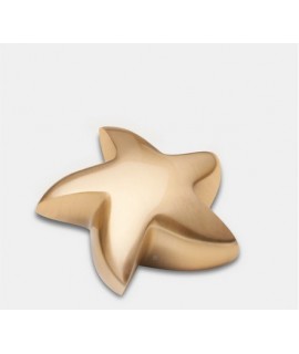 Or brossé (Étoile reliquaire)